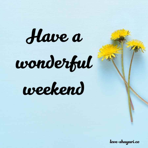 image_1682184599.png