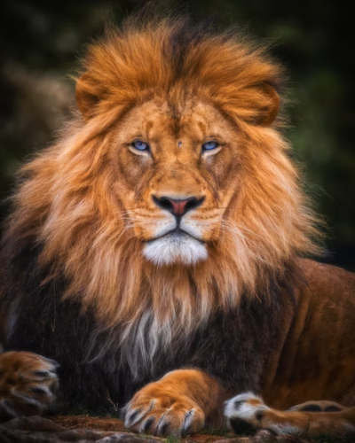 image_1683245080.png