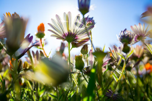 image_1685315462.png