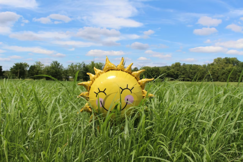 image_1685918522.png