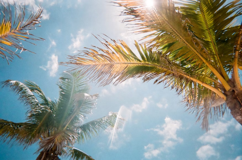 image_1685918848.png