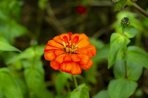 image_1687194696.png