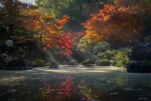 image_1687733645.png