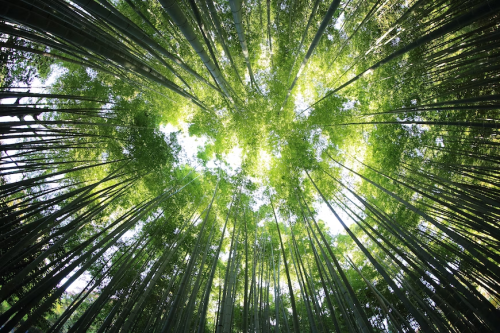 image_1689808302.png