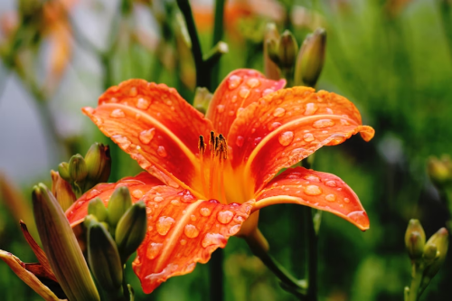 image_1689896093.png