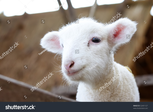 image_1689948342.png