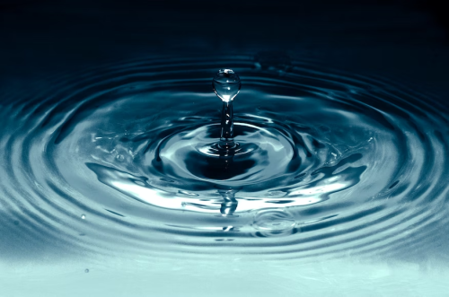 image_1690329713.png