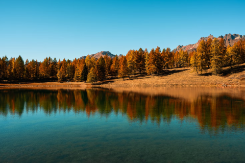 image_1691967859.png