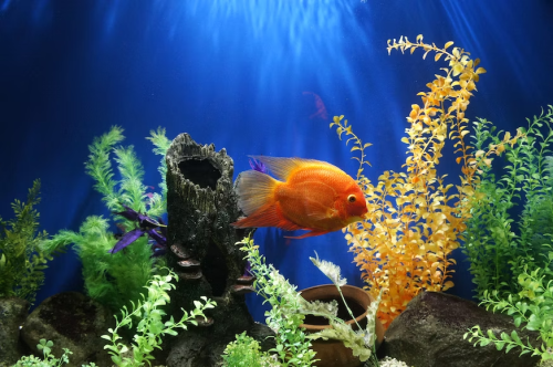 image_1691968580.png