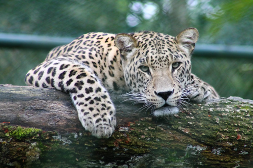 image_1692922466.png
