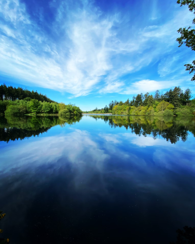 image_1693526964.png
