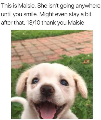 image_1693898926.png