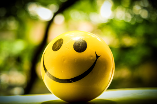 image_1694372765.png