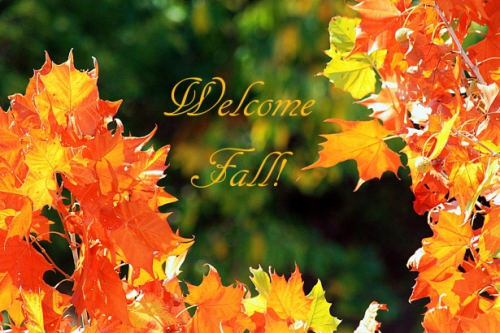 image_1695506432.png