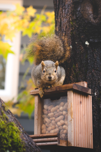 image_1695717519.png