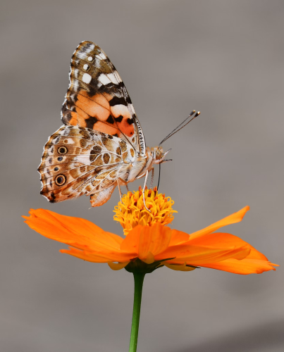 image_1695944074.png