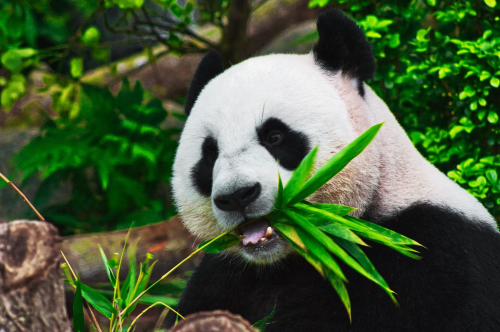 image_1696206689.png