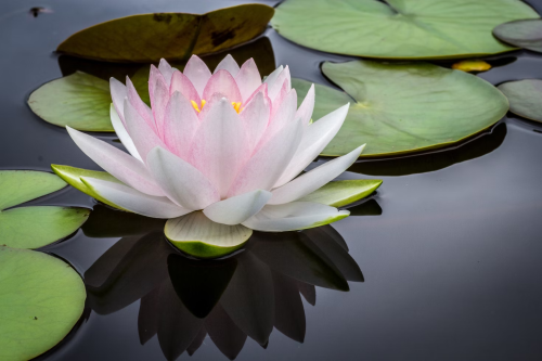 image_1696809758.png