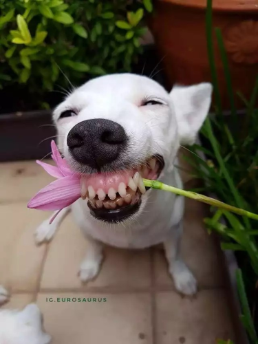 image_1697812298.png