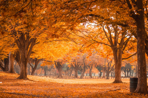 image_1699828919.png