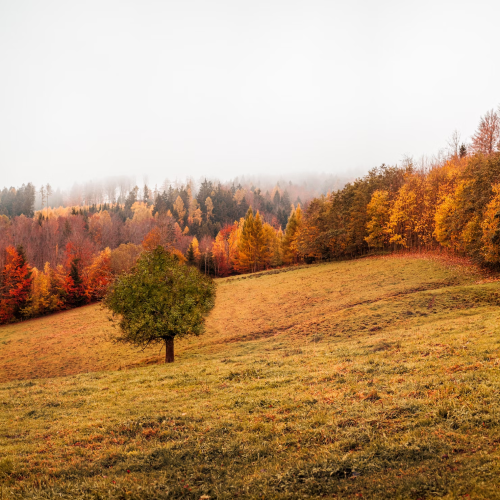 image_1700437391.png
