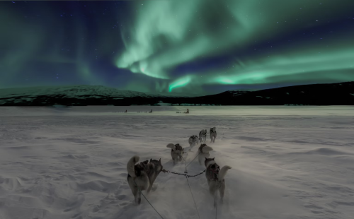 image_1700855944.png
