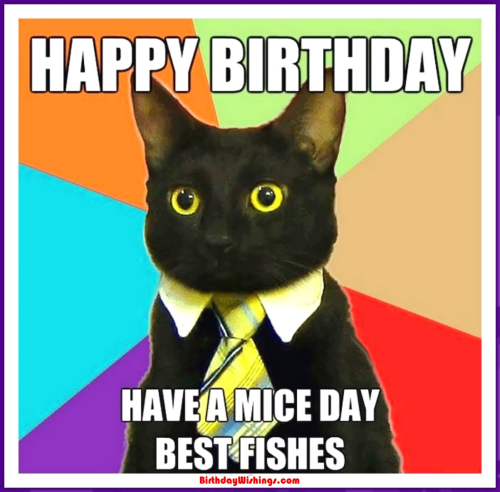 image_1701051338.png