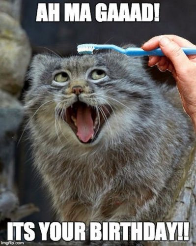 image_1701161839.png