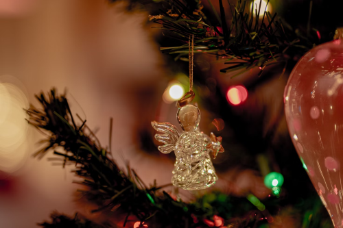 image_1702319511.png