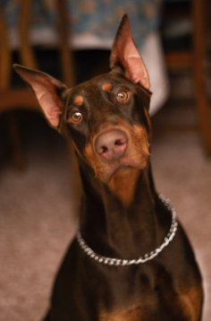 image_1705260973.png