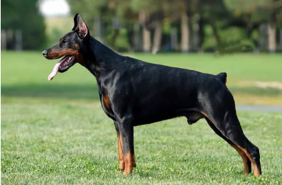 image_1705268179.png