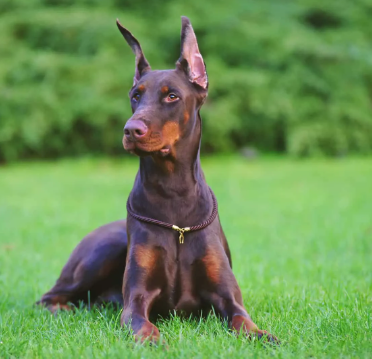 image_1705269314.png