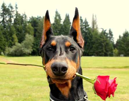 image_1705281241.png