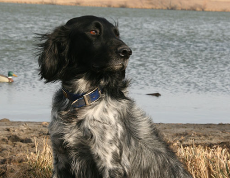 image_1705339959.png