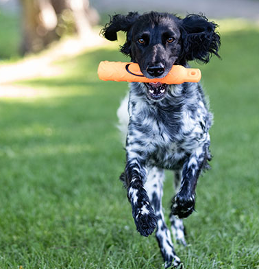 image_1705340473.png