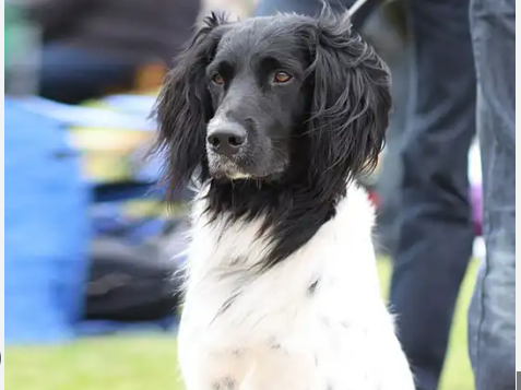 image_1705345681.png