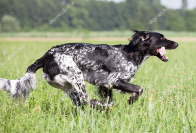 image_1705347682.png