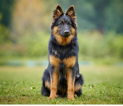 image_1705443394.png
