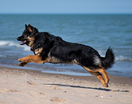 image_1705445898.png