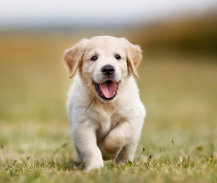 image_1705466561.png