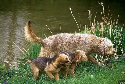 image_1705506993.png