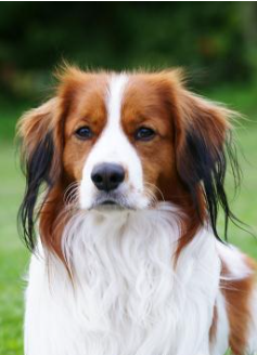 image_1705676680.png
