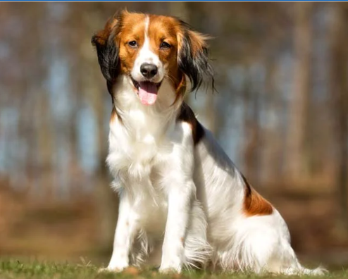 image_1705678051.png