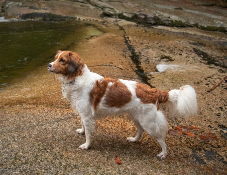 image_1705678534.png