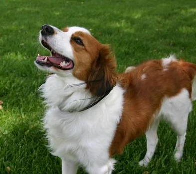 image_1705678772.png