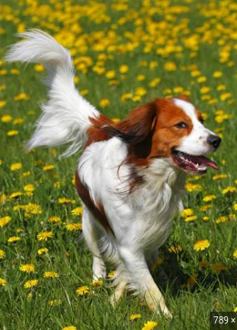 image_1705678954.png