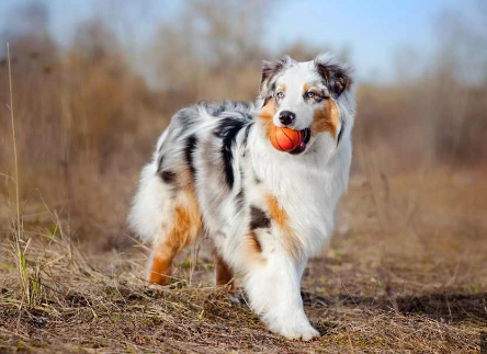 image_1705679438.png