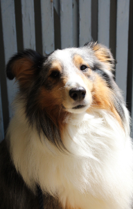 image_1705679602.png