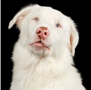 image_1705680853.png