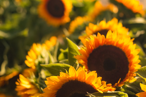 image_1705952751.png